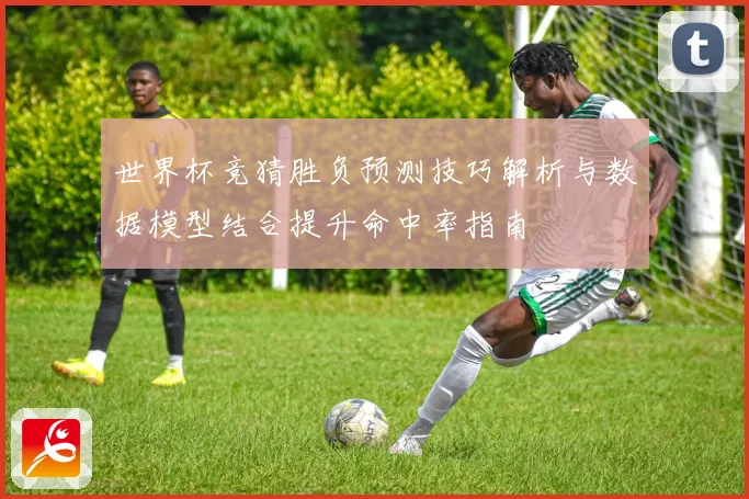 世界杯竞猜胜负预测技巧解析与数据模型结合提升命中率指南