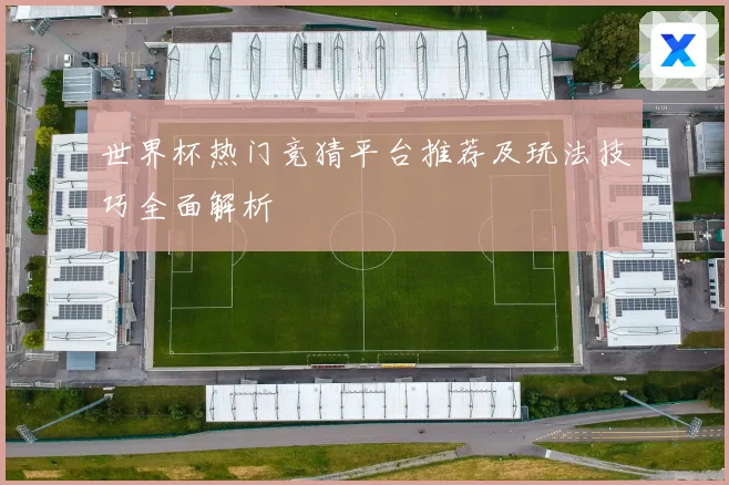 世界杯热门竞猜平台推荐及玩法技巧全面解析